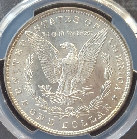 1882 VAM-17 Morgan Dollars  PCGS MS64