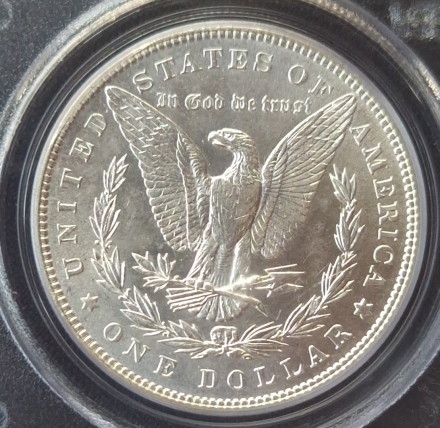 1884 Morgan Dollars  PCGS MS63