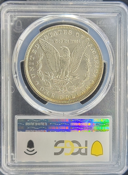 1884 Morgan Dollars  PCGS MS63