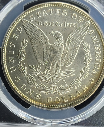 1884 Morgan Dollars  PCGS MS63
