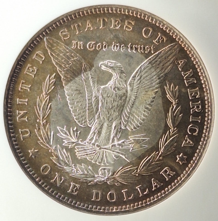 1886 Morgan Dollars  NGC MS63