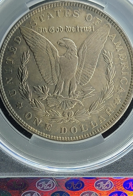 1887 Morgan Dollars  CACG MS63