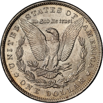 1888 HOT-50 VAM 7B NGC MS63 Morgan Dollar - DDR Die Gouges