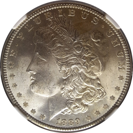 1889 NGC MS64 HOT-50 VAM-16 DDO EAR $1 - Die Clashing & Bag Toning