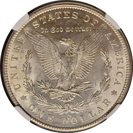 1889 NGC MS64 HOT-50 VAM-16 DDO EAR $1 - Die Clashing & Bag Toning