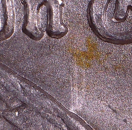 1889 NGC MS64 HOT-50 VAM-16 DDO EAR $1 - Die Clashing & Bag Toning
