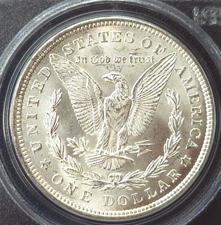 1921 Morgan Morgan Dollars  PCGS MS64