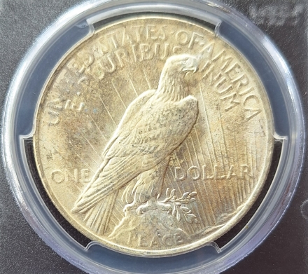 1922 Peace Dollars  PCGS MS64