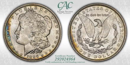1886 VAM-68 Morgan Dollars  CACG MS64