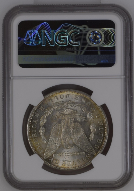 1883 VAM-20 Morgan Dollars  NGC MS64