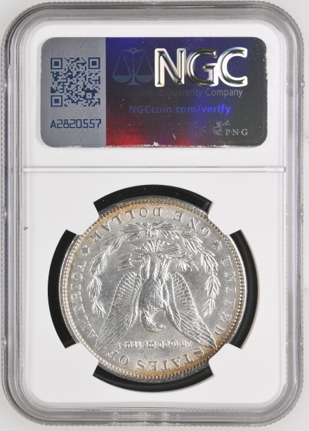 1904 VAM-6A Morgan Dollars  NGC UNC DETAILS